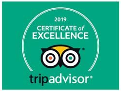 certificate of excellence 2019